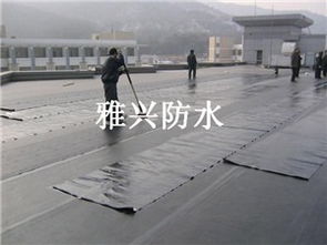 龍華地區專業防水補漏與管道安裝工程服務詳解